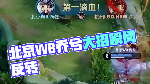 达到双赢的 达到双赢的