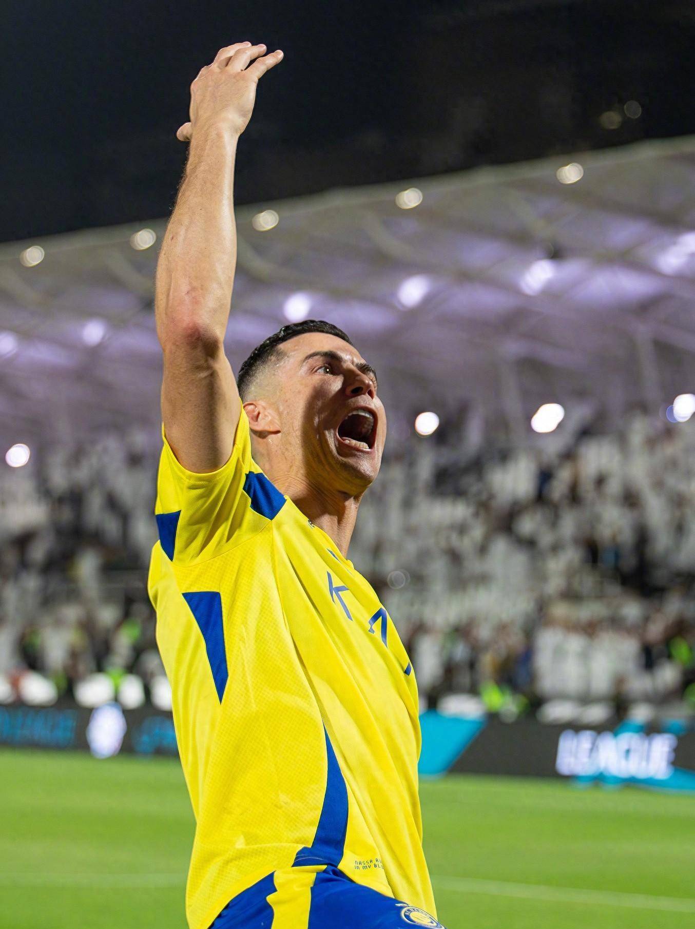 此次夺冠的 此次夺冠的